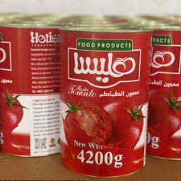 رب 4200 گرمی هلیسا