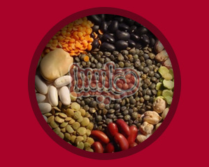 حبوبات صادراتی